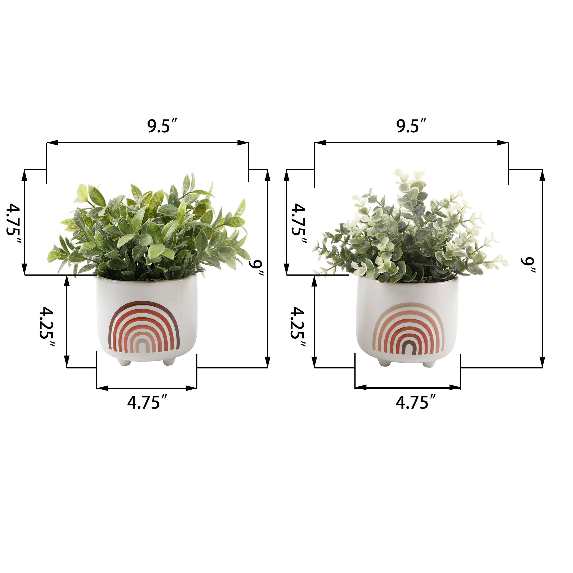 Flora Bunda® 9" Eucalyptus & Tea Leaf Plants in Footed Ceramic Rainbow Planter Set